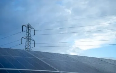 Enviromena warns failed grid reforms process is undermining Government promises on lower energy bills and economic growth