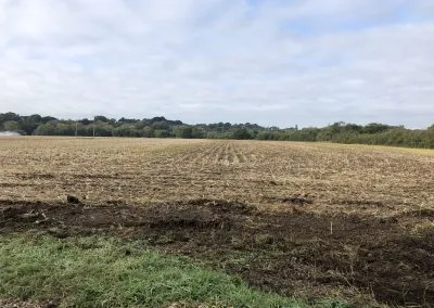 Parley Court Farm, Dorset