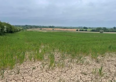 Longpasture, Durham